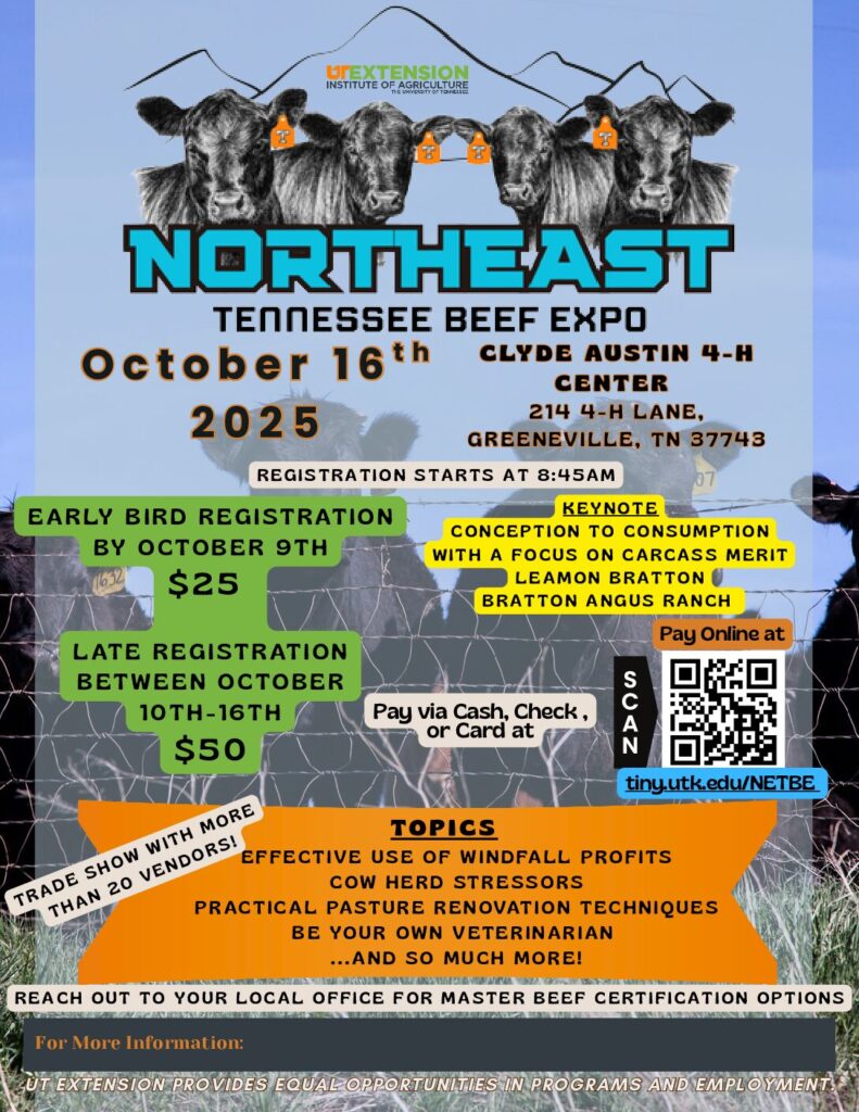 Northeast Tennessee Beef Expo flyer with information about the Expo