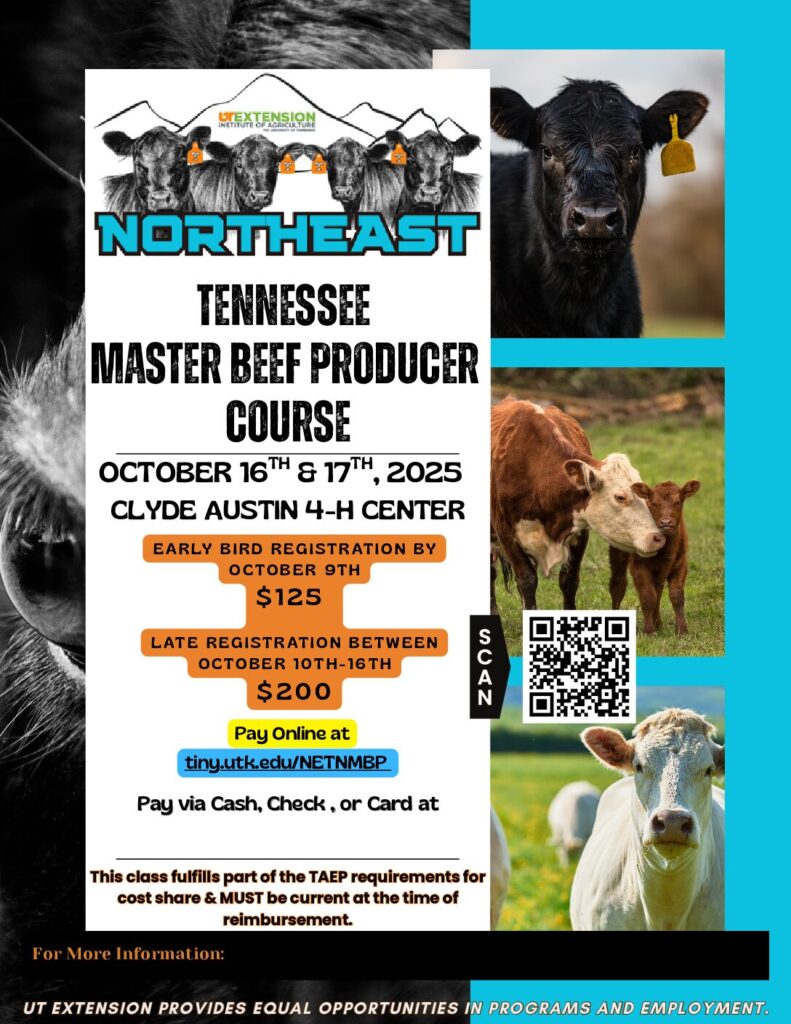 Tennessee Master Beef Producer Course flyer with information about the course